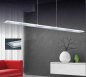 LED dining table lamp 