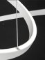 Preview: Braga Loop 1 LED Pendelleuchte 50cm Gold 2129/S50-2 + 2129/R220-100 D4 M-14, dimmbar