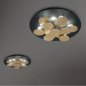 Preview: Ausstellungsstück Braga - Nuvola LED Wand/Deckenleuchte 2092/PL70 Schwarz - Blattgold