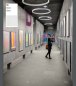 Preview: Braga Loop 1 LED Pendelleuchte 1 Ring 90cm 2129/S90-2  + 2129/R 260 -150 D4, dimmbar, Farbauswahl