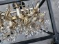 Preview: Arte Luce ceiling light KA3333/4PL champagne / black - craftsmanship at its best
