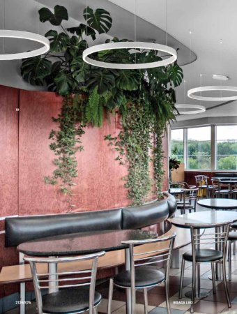Braga Loop 1 LED pendant 1 ring 120cm 2129/S120 - 2 + 2129/R260-150 D4, dimmable, colour selection