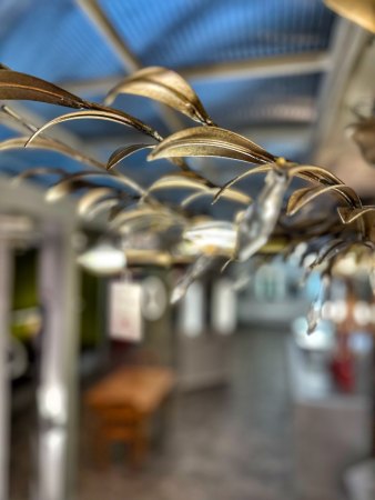 Icone/arte_luce_KA6310_12_Deckenleuchte_champagner_schwarz_Showroom_in_Moenchengladbach_von_Lampen_Schubert_nahe_duesseldorf.jpeg