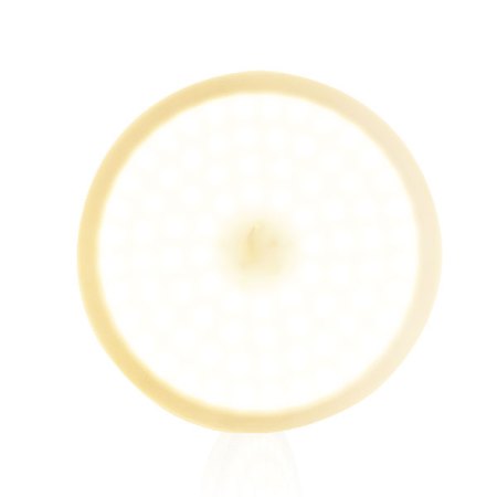 Top Light Fox Round ø 20/30/40/50 LED Wand- Deckenaufbauleuchte Konfigurator, dimmbar