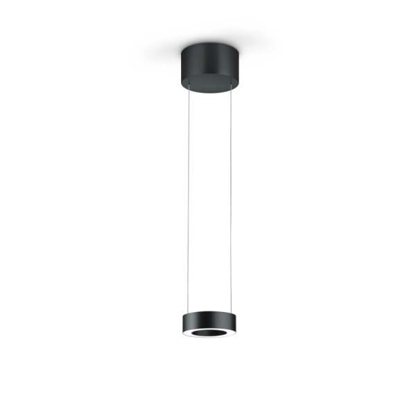 Knapstein Zera-1 51.516.07-1 LED pendant luminaire - 1 flame top/bottom light gesture control lift dimmable